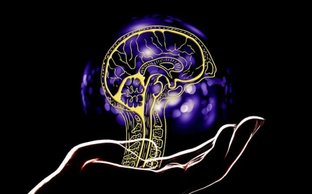 Objektifa: Yapay Zeka Alanında Devrim Yaratan Lider Araç