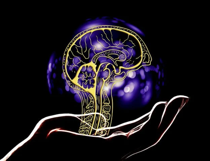 Objektifa: Yapay Zeka Alanında Devrim Yaratan Lider Araç